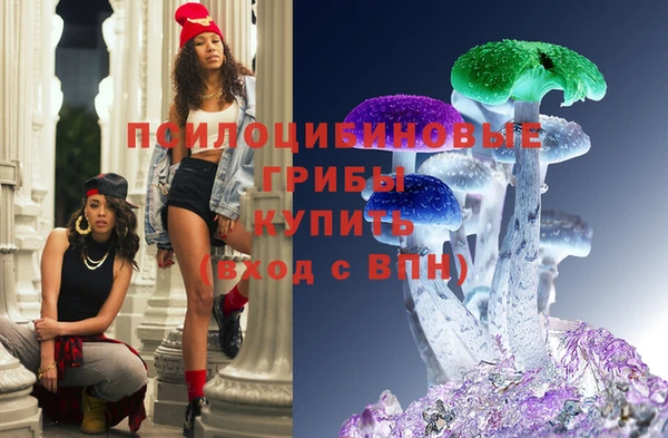 мяу мяу мука Гусиноозёрск