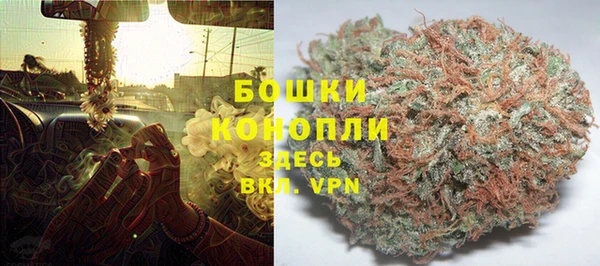 каннабис Гусев