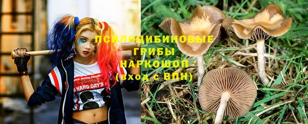 мяу мяу мука Гусиноозёрск
