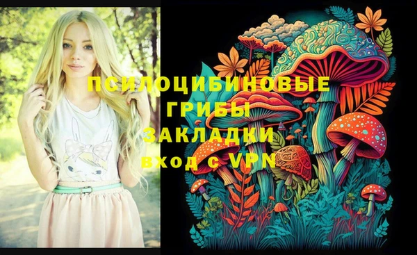 мяу мяу мука Гусиноозёрск