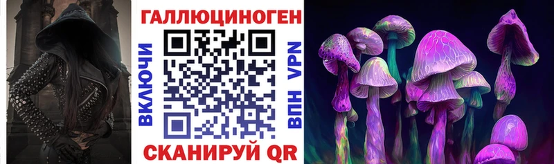 Купить закладки  Приморско-Ахтарск  Галлюциногенные грибы MAGIC MUSHROOMS 